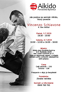 Seminar_Vincenzo